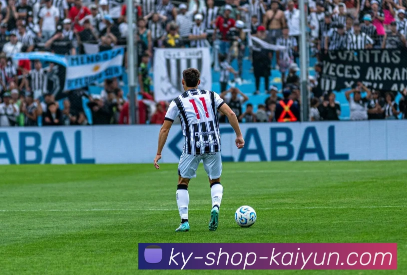 开云平台生态图